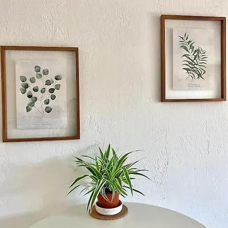 Apartmán Studio